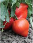 Florian Ltd Semințe Tomate Lacrima Fecioarei - Soi Bulgăresc Gigant 350-1000g | Hectarul. ro (HCTG00190)