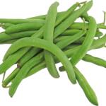 AGROSEM Seminte Fasole pitica verde rotunda Harvester TRATAT NOU AGROSEM 25 kg (HCTA00472)