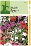 Pop Vriend Seeds Seminte de sporul casei Valeriana, 0.1 grame (HCTG00146)