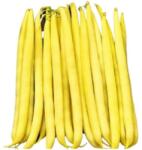 POP VRIEND Seminte Fasole pitica galbena GONDOLA Pop Vriend 100 g (HCTS00339)