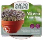 TUINPLUS Kit de crestere germeni, mizuna rosie, BUZZY (HCTG01888)