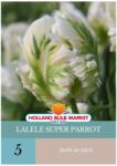 Holland Bulb Market Bulbi de lalele Super Parrot, 5 bulbi (HCTG003161)