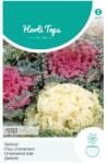 TUINPLUS Seminte de varza ornamentala, 0, 25 grame, Hortitops (HCTG01899)