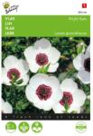TUINPLUS Seminte de In decorativ, 1 gram, BUZZY (HCTG01870)