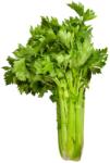 HORTI TOPS Seminte telina de frunze GEWONE SNIJ Horti Tops 5 g (HCTS00308)