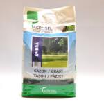 Agrosel Seminte Gazon Umbra Agrosel 5 kg (HCTA01671)