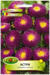 Florian Ltd Seminte de aster italian albastru, 0.5 grame FLORIAN (HCTG00238)