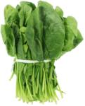 POP VRIEND Seminte Spanac MATADOR Pop Vriend 1 kg (HCTS00376)