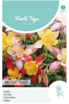 TUINPLUS Seminte de caldaruse MIX, 0, 5 grame, Hortitops (HCTG01904)