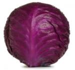 HORTI TOPS Seminte Varza ROSIE TIMPURIE ROODKOP Horti Tops 2 g (HCTS00320)
