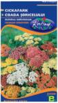 Kertimag Seminte de COADA SORICELULUI, 0.25g, KERTIMAG (HCTG01397)