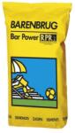 BARENBRUG Seminte Gazon BARPOWER RPR 5 KG (HCTS00973)