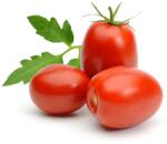 POP VRIEND Seminte Tomate RIO GRANDE Pop Vriend 50 g (HCTS00381)