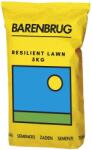 BARENBRUG Seminte Gazon RESILIENT Blue Lawn 5 KG (HCTS00966)