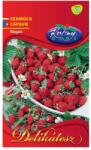 Kertimag Seminte de fragute RUGEN, 0, 2 gr, KERTIMAG (HCTG01366)