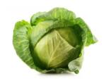 HORTI TOPS Seminte Varza ALBA GLORY OF ENKHUIZEN Horti Tops 1 g (HCTS00319)
