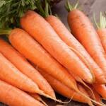 POP VRIEND Seminte Morcovi NANTES Pop Vriend 50 g (HCTS00350)