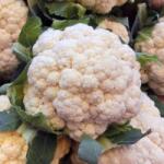 HORTI TOPS Seminte Conopida AUTUMN GIANT HERFSTREUSEN Horti Tops 0.5 g (HCTS00301)