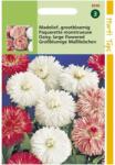 HORTI TOPS Seminte de paralute Bellis Perenis 1gr (HCTX00051)