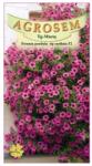 AGROSEM Seminte Flori Petunia H. Surfina Rubina F2 AGROSEM 0.01 g (HCTA00530)