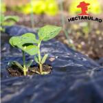 Hectarul. ro Folie de mulcire neagră HECTARUL, tratată UV, 15 microni, 2 x 1000 m (HCTS01951)