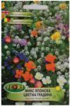Florian Ltd Seminte mix flori japoneze, 2 grame, FLORIAN (HCTG01522)