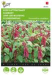 TUINPLUS Seminte de Motul Curcanului (Amaranthus), 1 gram, BUZZY (HCTG01868)