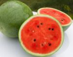 HEKTAR Seminte Pepene verde Danubiana F1 - 100 sem, HEKTAR SEEDS (HCTG01990)