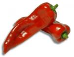HORTI TOPS Seminte Ardei KAPYA Horti Tops 1.5 g (HCTS00295)