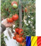 SCDL BUZAU Seminte romanesti de tomate MARIUCA, 5gr, SCDL Buzau (HCTG00883)