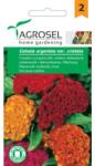 Agrosel Seminte flori Creasta cocosului pitic melanj Agrosel 1 g (HCTA00945)
