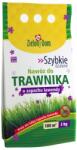 ZIELONYDOM Ingrasamant de gazon cu parfum de Lavanda, 3 kg (HCTAS00027)
