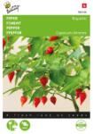 TUINPLUS Seminte de ardei iute BiQUINHO, 10 seminte, BUZZY (HCTG01865)