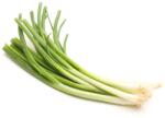 Pop Vriend Seeds Semințe ceapă verde White Lisbon, Pop Vriend Seeds, 25 g (HCTG00067)