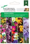 Agrosel Seminte amestec pentru stancarii, 1, 2 grame, AGROSEL (HCTG01458)