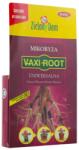ZIELONYDOM Tratament ANTI-MICORIZE Universal, Vaxi-Root (HCTAS00045)