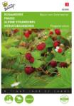 TUINPLUS Seminte de capsuni salbatice Baron, 0, 25 grame, BUZZY (HCTG01859)