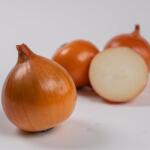 Syngenta Seminte de ceapa Baruso F1, 250.000 seminte SYNGENTA (HCTG00458)