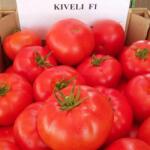 Bayer Seminte de tomate Kiveli F1, 500 seminte (HCTG00427)