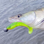 REIVA Zander Power Shad 10cm 4db/cs (4szín) (9901-198) - marlin