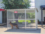 SINB GRID Kutya kennel, 2x3m alapterület padozat nélkül