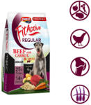 Panzi FitActive Adult Regular Beef 4 kg