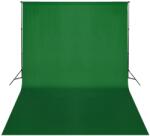 vidaXL 160069 5x3 m verde