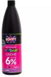RONNEY Oxidant crema 20vol 6% 1000ml (5060589154537)