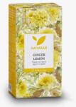 Snak srl Natursan Gyömbér Citrom Tea Filteres Kiszerelésben