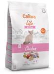 Calibra Cat Life Kitten Chicken 6 kg - szavatossági idő: 2025.12. 2. | Száraz macskatáp