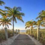 Art Galéria Pálmasor a parton - üvegkép