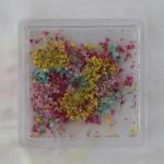 Zodiac Szárított virág körömdísz 03