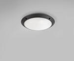 POLARIS Фасаден LED плафон Lucia | IP66 | 30cm | E27 | Цена 17, 27€ (33, 77 лв) (41)