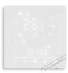 Moes GC water/gas boiler 5A